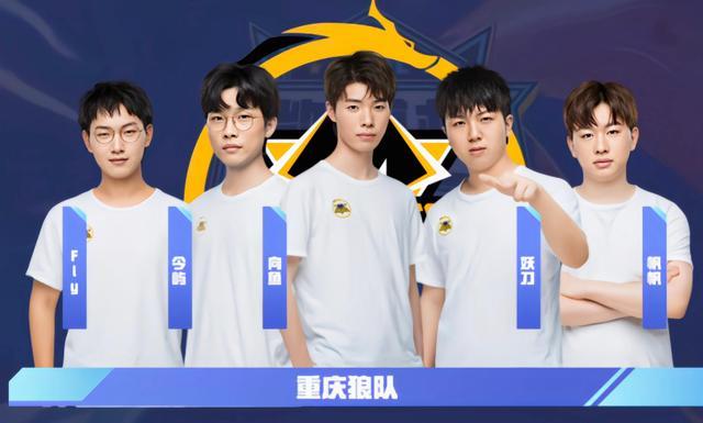 他们在引进 他们在引进