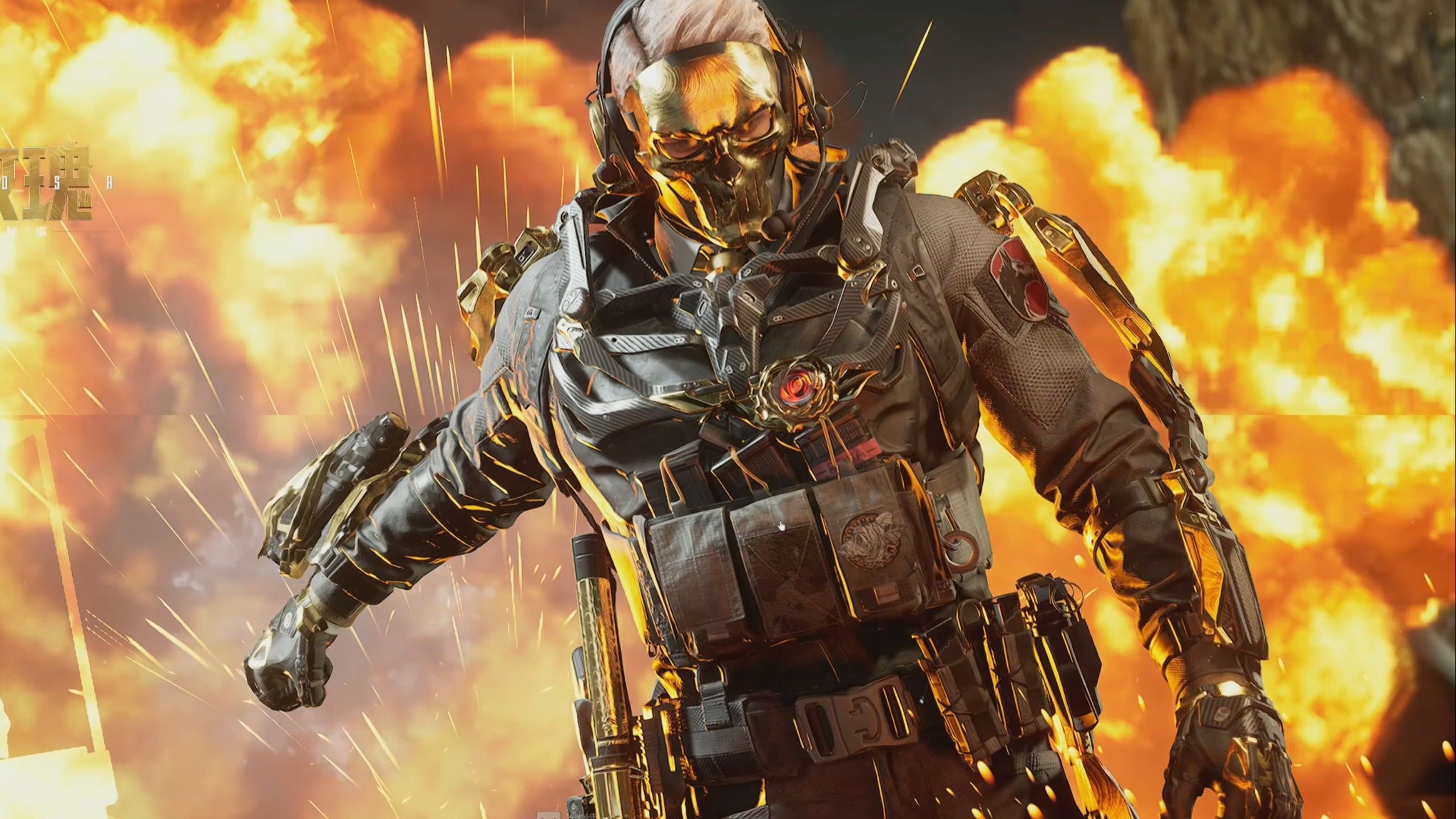 迷提供专业 迷提供专业